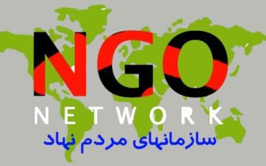 یک سمن به ازای هر ۱۵ هزار جوان داریم