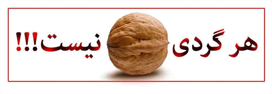 هر گردی، گردو نیست!