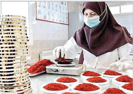 کارآفرینی اجتماعی پشتوانه رفاه