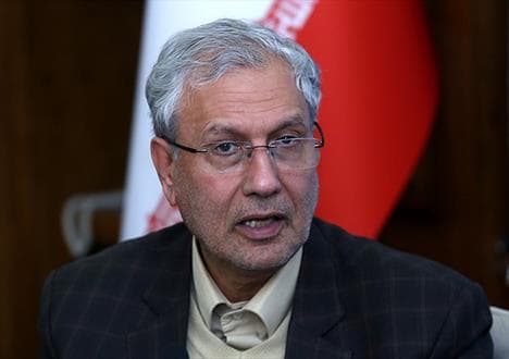 ربیعی: سال ۹۶ سال شکوفایی دولت تدبیر و امید است