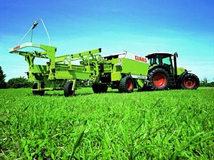 بذری که صدها جوانه داد