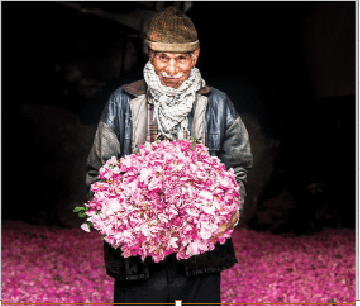 روایتی تصویری از دست‌های نجیب آدم‌های کار