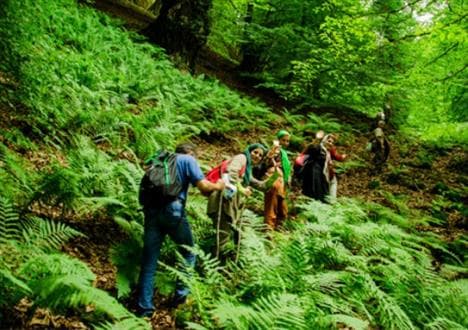 توسعه گردشگری مطالبه اجتماعی است