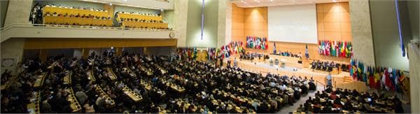 پاسخگویی به نیاز اشتغال جوانان مستلزم تغییر رویکرد جهانی سازی است