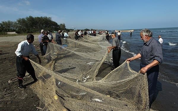 بدهی کارفرمایان بندرانزلی به تامین اجتماعی، از ۱۷۰ میلیارد گذشت