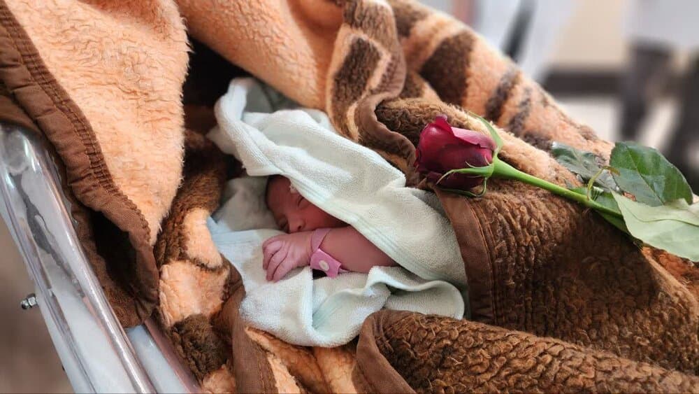 تولد ۱۲۴ نوزاد در بیمارستان امام رضا (ع) قم از ابتدای سال ۱۴۰۴
