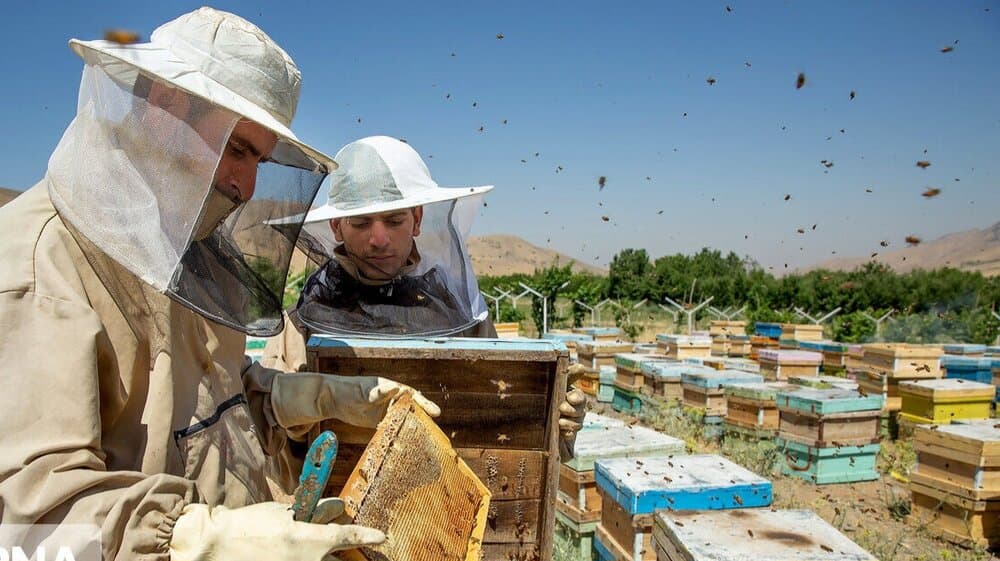 ۴۰۰ میلیارد ریال تسهیلات تبصره ۱۸ خراسان‌شمالی در مسیر پرداخت