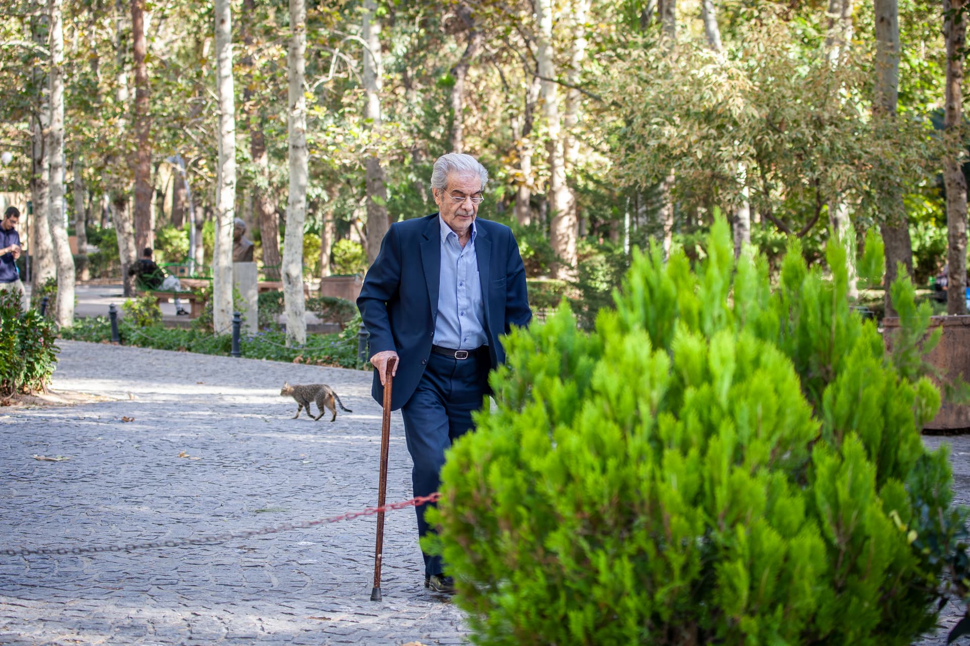 تجمیع برای چابکی ساختار اداری