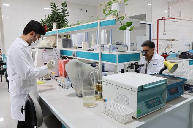 کسب درجه یک اعتباربخشی ملی چهار بیمارستان تأمین‌اجتماعی خوزستان