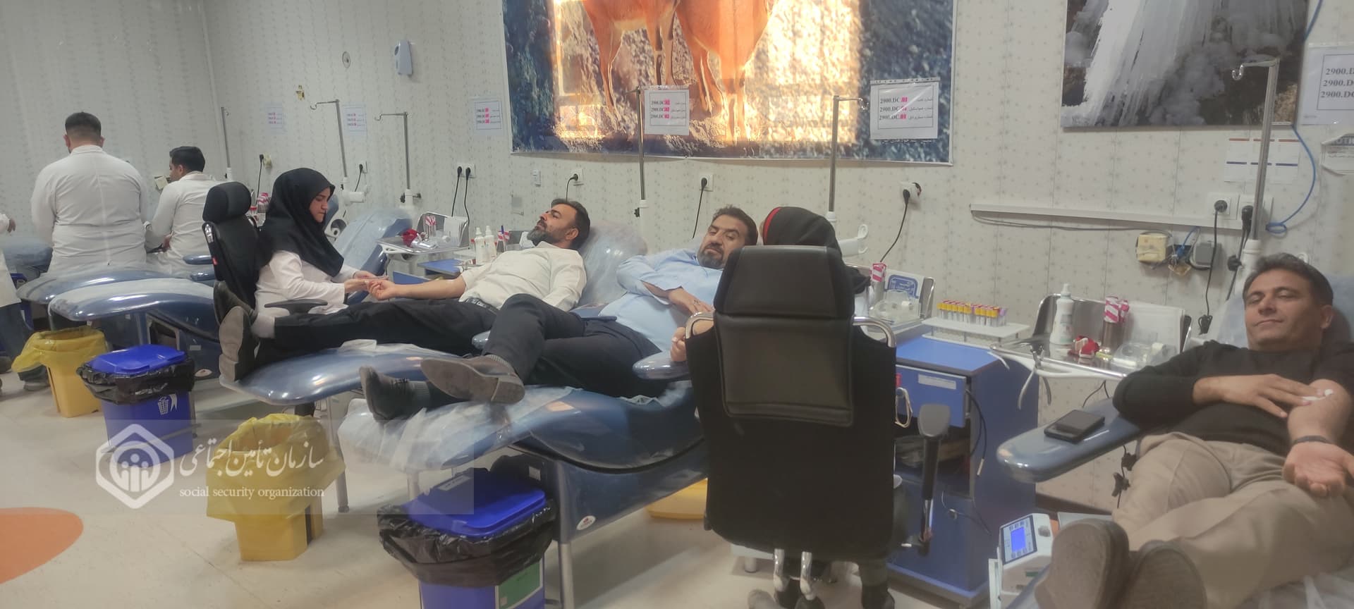 مشارکت کارکنان تأمین‌اجتماعی کهگیلویه و بویراحمد در برنامه اهدای خون