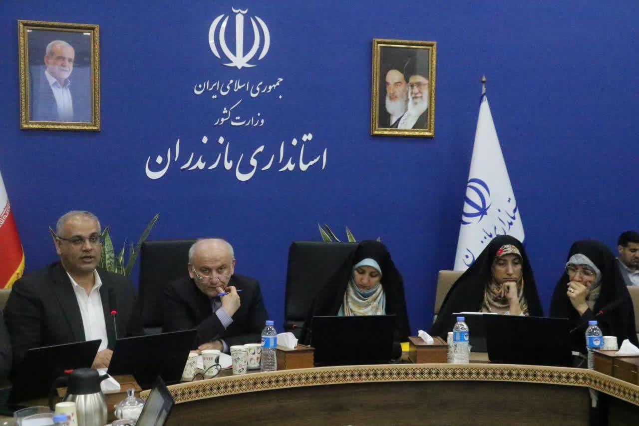 تسهیلات جدید خرد ، کوچک و خانگی نویدبخش فرصتهای شغلی