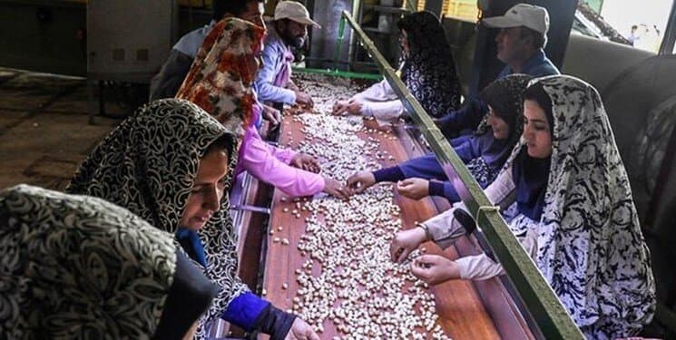 زنجان در مسیر توسعه تعاون